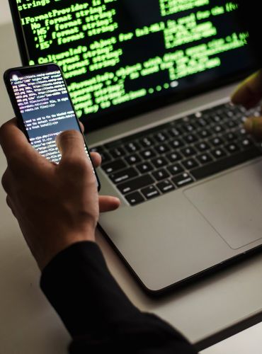Web Development img