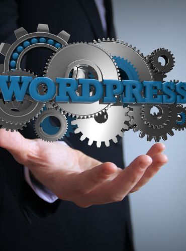 WordPress Development img